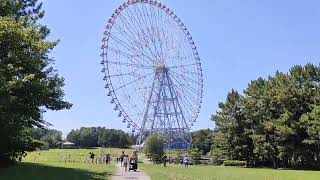 りんぐの今日の葛西臨海公園のひまわり畑と大観覧車🌻🎡【2023.7.16】