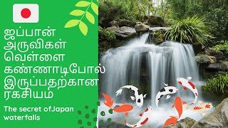 ஜப்பான் அருவிகள் கண்ணாடிபோல் இருப்பதற்கான ரகசியம்|Secret Behind Waterfalls|Tamil Vlog in Japan 4K