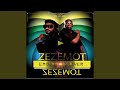 Zezemot (feat. Driver)