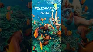 பிரம்மிக்க வைக்கும் Mexico | #shorts #snorkeling #tamilvlogusa