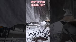 芝加哥我家上一年的大雪，希望今年不要这样了