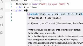 basic python user input and string format