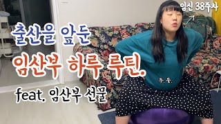 임신 38주차/출산을 앞둔 아내의 하루👶 feat.임산부 \u0026 육아용품 추천