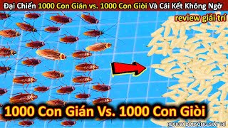 Đại Chiến 1000 Con Gián Vs. 1000 Con Giòi Cực Gay Cấn Và Cái Kết Khó Tin || Review Giải Trí Đời Sống