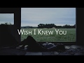 Wish I Knew - The Revivalists You - Sub. Español