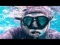 freediver unknowingly takes swim with saltwater crocodile