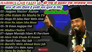 Habibullah Faizi Ki Naat Sharif Top 10 Superhit Naat All Naat Jukebox Naat Mp3 Naat 2023 New Naat