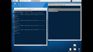 Python basics: Print, Comments, and Variables