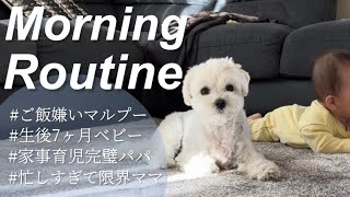 愛犬と赤ちゃんと過ごす忙しすぎる朝に完全密着！【モーニングルーティーン】