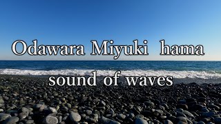 ( 4K ) 小田原、御幸の浜 映像と波の音 ( Odawara miyuki no hama sound of waves)