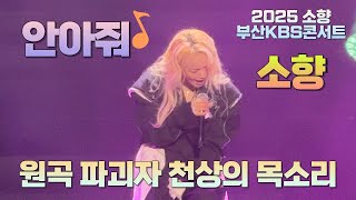 안아줘(원곡:정준일) - 소향💕 | 2025 소향 1집 앨범 발매기념 콘서트 Diva - 부산