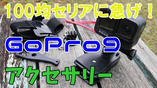 【GoPro９】初購入♪神アクセサリーは100均【セリア】にあった～が、売り切れ御免！