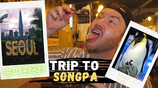 송파관광 2020 Trip to Songpa(송파) Vlog - What to see + do + EAT in Songpa-Gu!