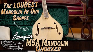 A Bourgeois Mandolin?!? | Bourgeois M5A Mandolin Review