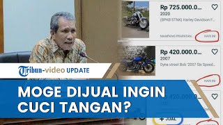 Banyak Moge Harley Davidson Dijual, Ada yang Menduga Milik Pegawai Pajak yang Ingin Cuci Tangan