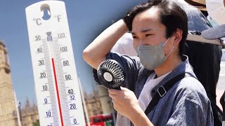 Summer Heatwaves May Be Due to Climate Change