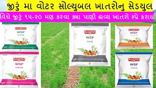 જીરું માં વોટર સોલ્યૂબલ ખાતર નું શેડ્યુલ |વિધે ૧૨-૧૫ મણ કરવા ક્યાં ખાતરો સ્પ્રે કરાય| #7990243057