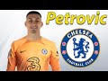 Djordje Petrovic ● Welcome to Chelsea 🔵🇷🇸 Best Saves