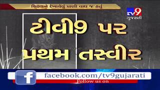 Gujarat: Forest dept confirms presence of tiger in Mahisagar district- Tv9