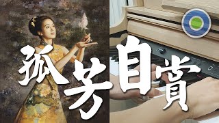 孤芳自賞 鋼琴版 (主唱: 楊小壯 )