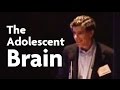 Dr. Richard Davidson: The Adolescent Brain