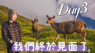 香港人來台灣登山【能高安東軍】我們居然花了5小時才到達能高南峰 也太久了啦！ EP3 #百岳 #6天5夜