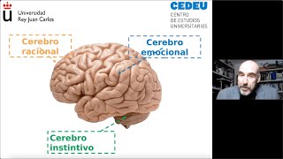 CEDEU - Webinar \