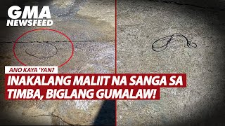 Inakalang maliit na sanga sa timba, biglang gumalaw! | GMA News Feed