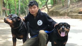 SERCHHIP UI LIAN (GIANT DOGS IN MIZORAM.)