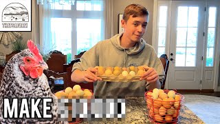 How To Make MONEY Raising Chickens | 3 Best Ways