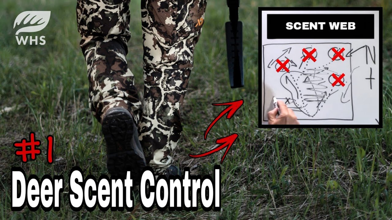 Best Scent Control For Deer Hunting - YouTube