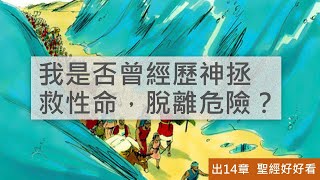 [聖經好好看] 出埃及記-第14章 紅海救贖