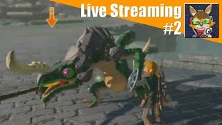 【Live】ブレスオブザ勇者#2【ゼルダの伝説】