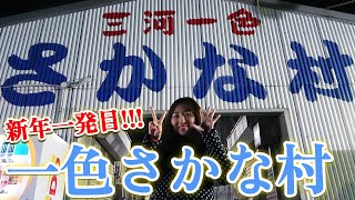 【愛知県一色さかな村】念願のお魚『エイ』をゲットしました！