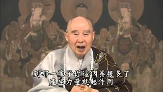 淨土大經解演義(有字幕 315-600) 淨空老法師