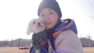 [일상vlog] 쉬는 날 반려견과 함께 여주시 강천섬으로! / 애견동반 당일치기 / 지칠 때 가기 좋은 힐링장소