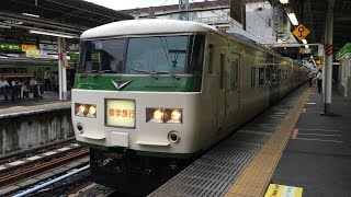 プチッとJR東日本185系修学旅行臨茅ヶ崎着