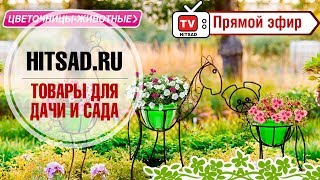 Товары для дачи и сада ✔ Интернет магазин hitsad.ru