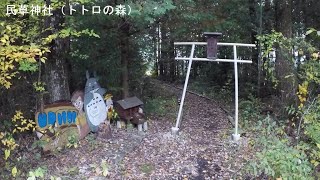 誰も知らないジブリ神社『民草神社（トトロの森）』に行く！