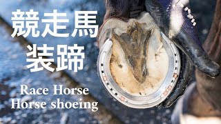 競走馬の装蹄作業#33 / Horse shoeing