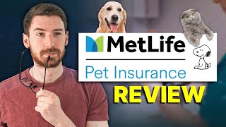 MetLife Pet Insurance Review | Claims & Coverage (2026 Verdict)