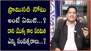 what is a promissory note and its time period | ప్రామిసరీ నోటు అంటే ఏమిటి? కాలపరిమితి ఎంత | PSLV TV