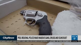 Gang bust in Peel sees dozens arrested