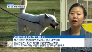 [이슈\u0026뉴스] 반려동물 인구 천만 시대…‘펫티켓’은 부족