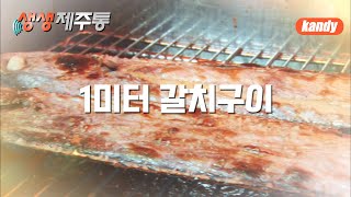 통 큰 제주의 맛🐟갈치구이