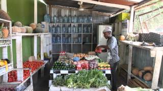 Simple Innovations Revolutionize Farming in Zanzibar