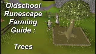OSRS Ultimate Farming Guide - TREES Edition