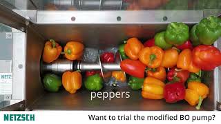 NETZSCH Pumps UK - Hopper mounted BO pump processing various fruit and vegetables - Update Sept 2022