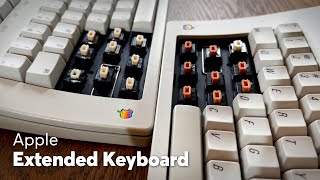 Apple M0115 Keyboard Sound Test | Alps SKCM Orange VS Alps SKCM Salmon