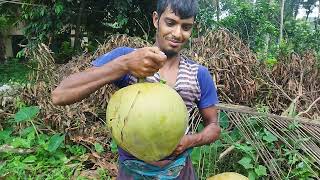 ‌বিশাল বড় ডাব